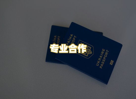 专业合作